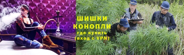 ПСИЛОЦИБИНОВЫЕ ГРИБЫ Белоозёрский