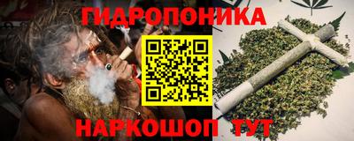 гашик Пенза