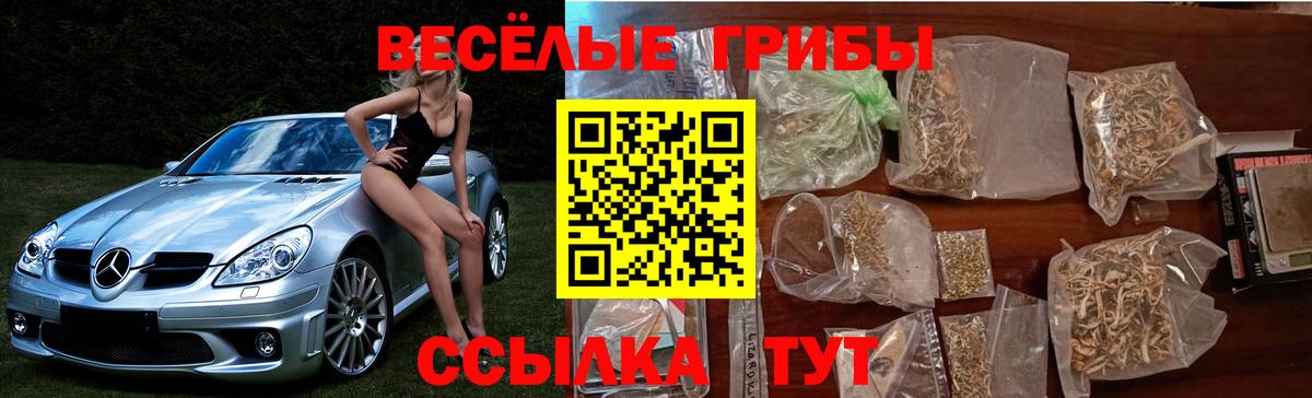 Бутурлиновка  Псилоцибиновые грибы Cubensis  Вход с VPN 